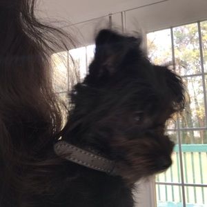 Meet your Posher, Celia